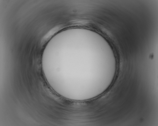 X0000116631354200912312151