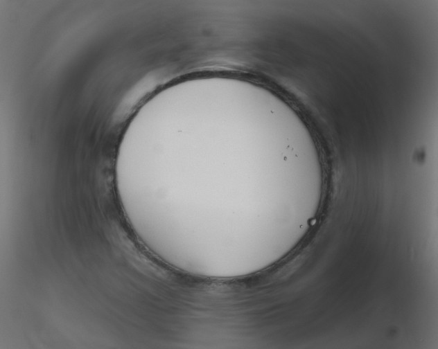X0000116631355200912312151