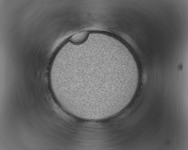 X0000116631356200912312151