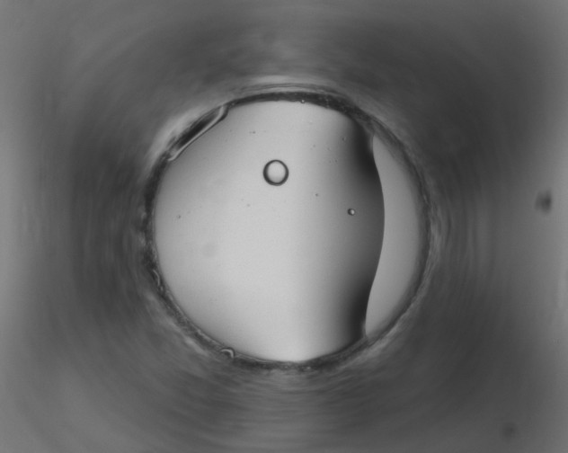 X0000116631357200912312151