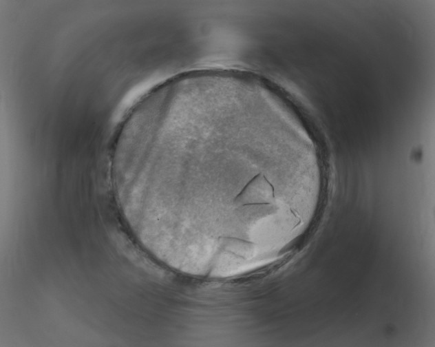 X0000116631358200912312151
