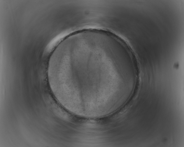 X0000116631359200912312151