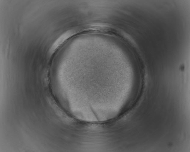 X0000116631362200912312151