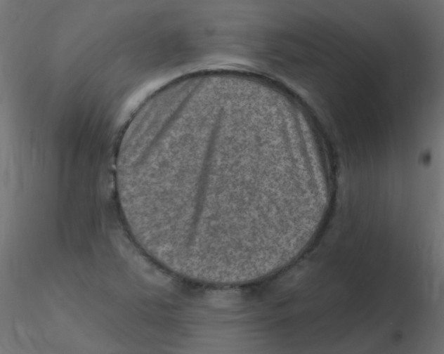 X0000116631363200912312151