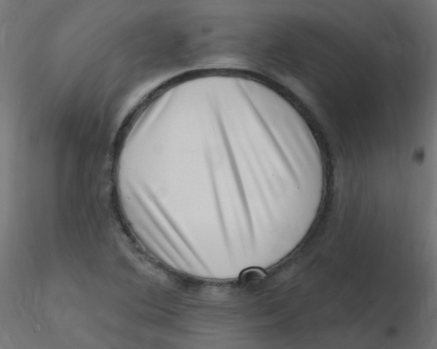 X0000116631364200912312151