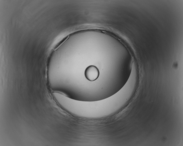 X0000116631365200912312151