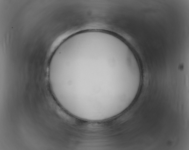 X0000116631366200912312151