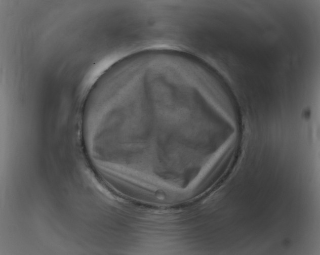 X0000116631367200912312151