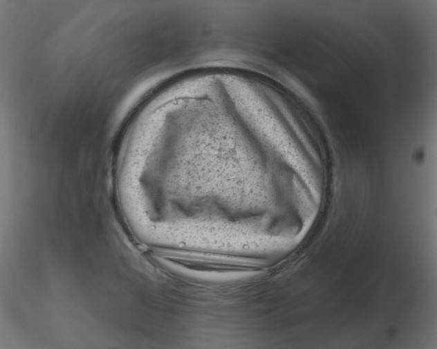 X0000116631368200912312151