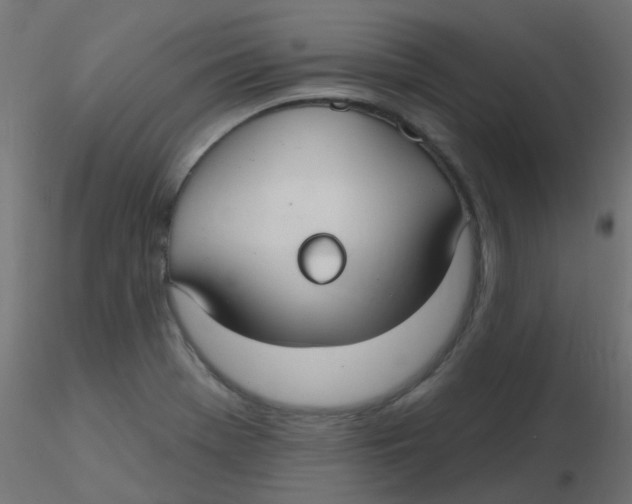 X0000116631369200912312151