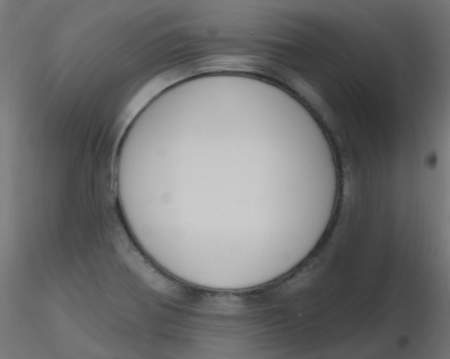 X0000116631370200912312151