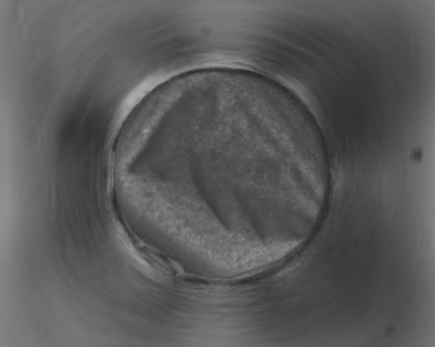 X0000116631371200912312151