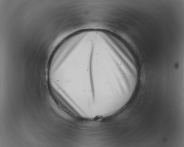 X0000116631372200912312151