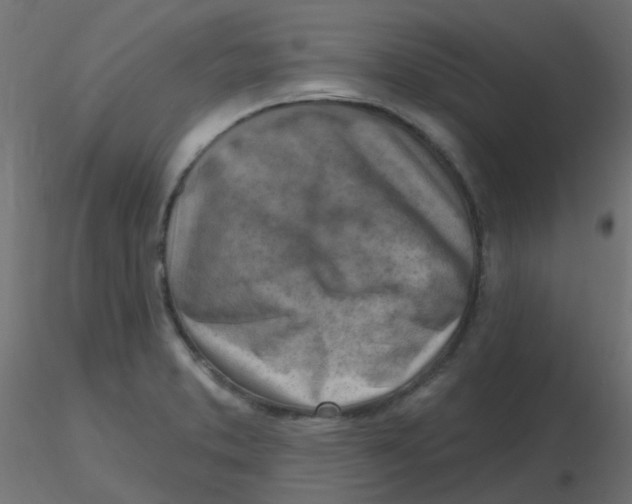 X0000116631373200912312151