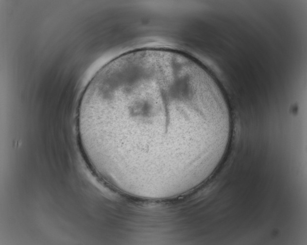 X0000116631375200912312151