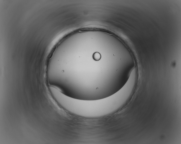 X0000116631376200912312151