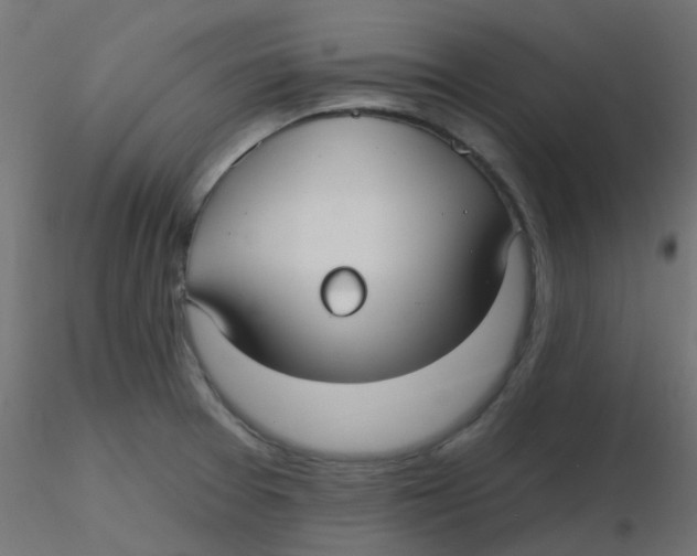 X0000116631377200912312151