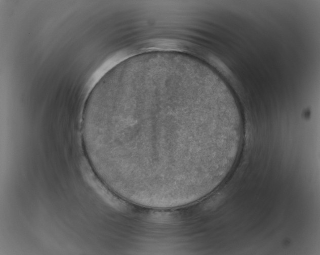 X0000116631378200912312151