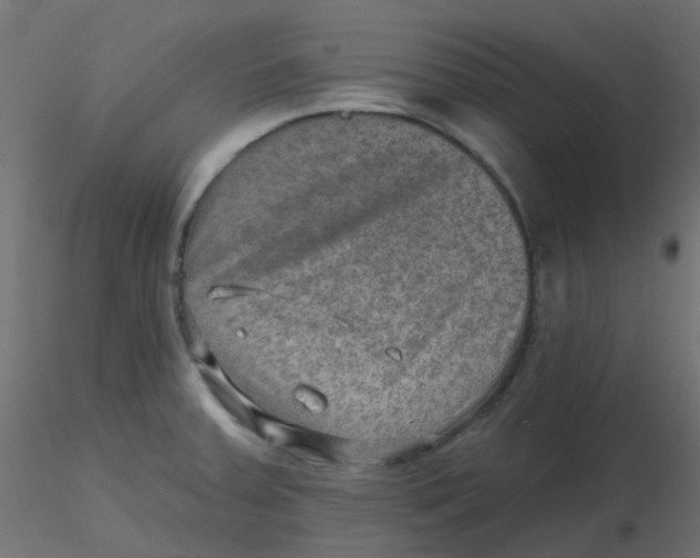 X0000116631379200912312151