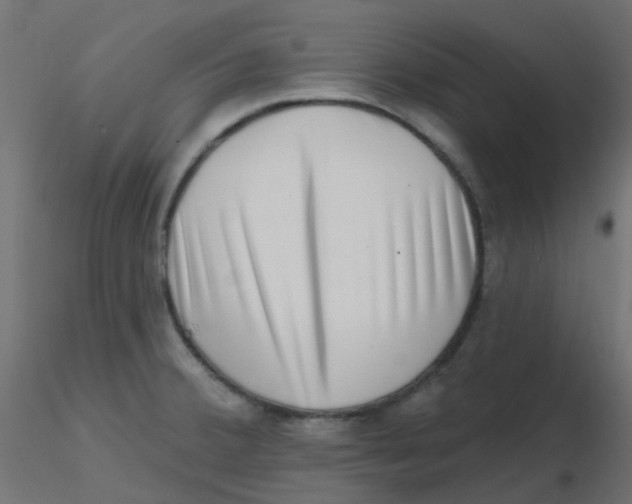 X0000116631380200912312151
