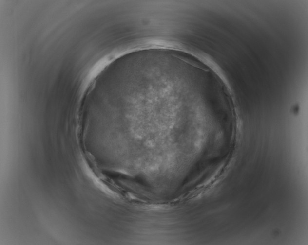 X0000116631381200912312151