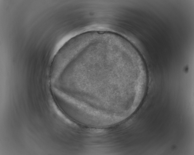 X0000116631382200912312151