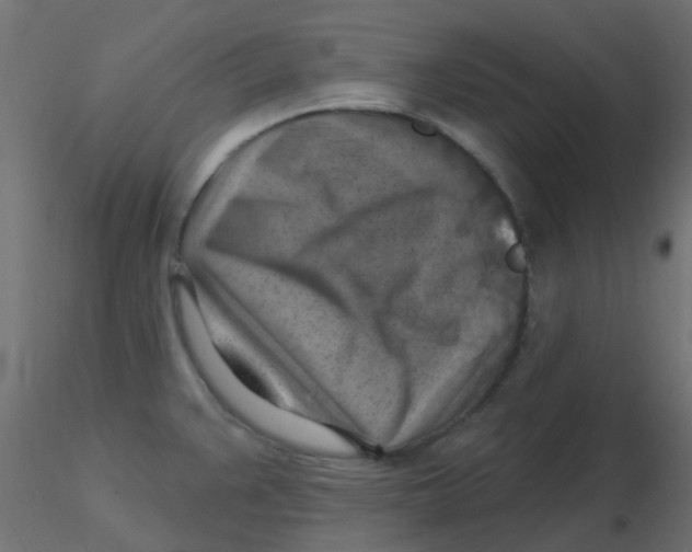 X0000116631383200912312151