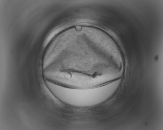 X0000116631384200912312151