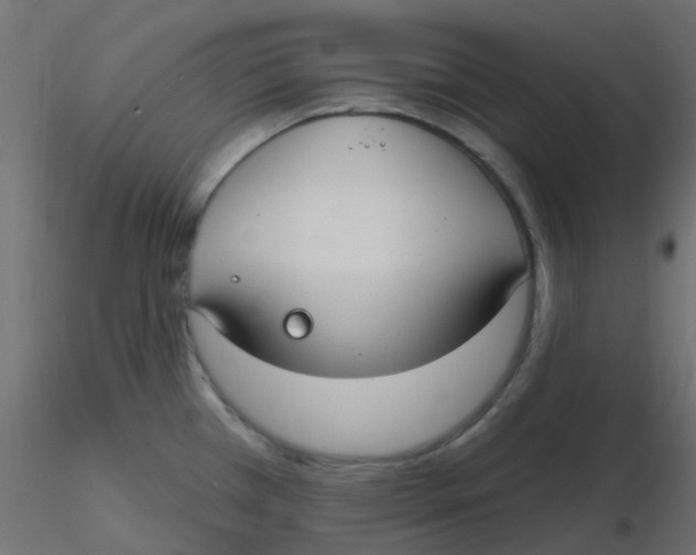 X0000116631385200912312151