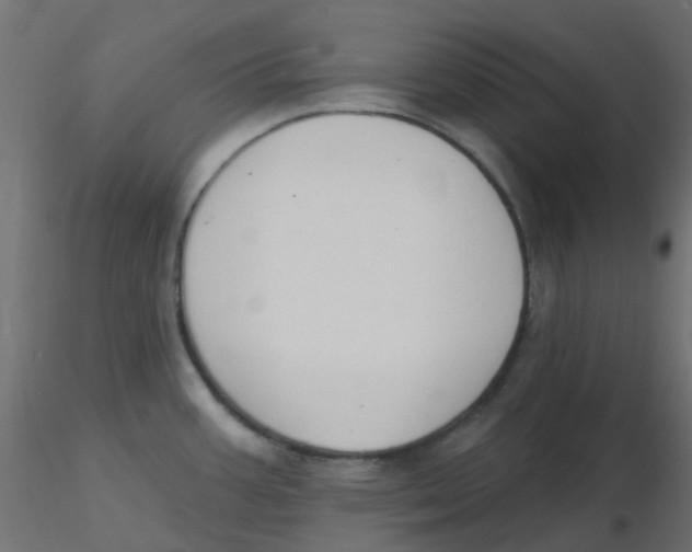 X0000116631387200912312150