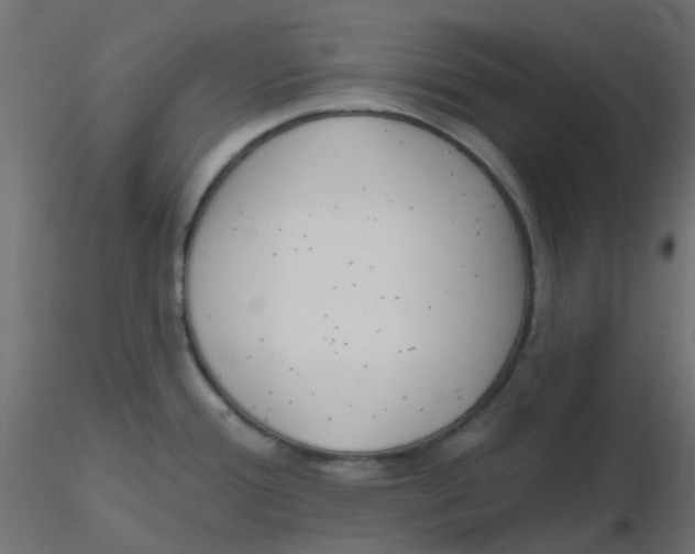 X0000116631388200912312150