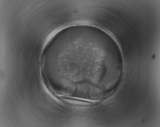 X0000116631389200912312150