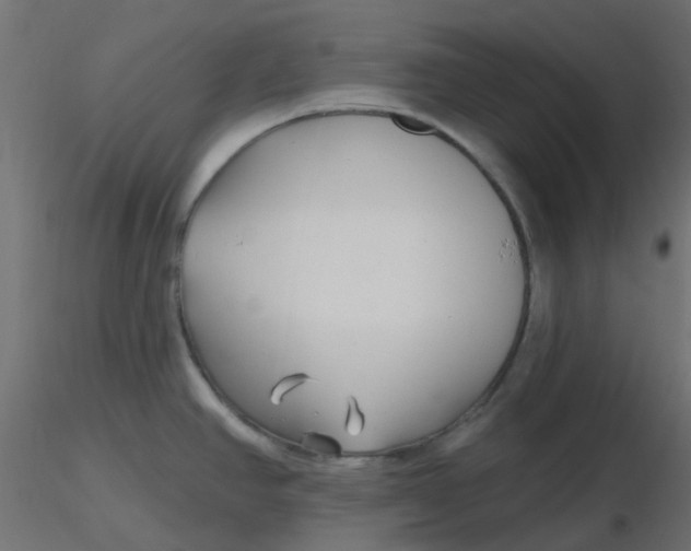 X0000116631390200912312150