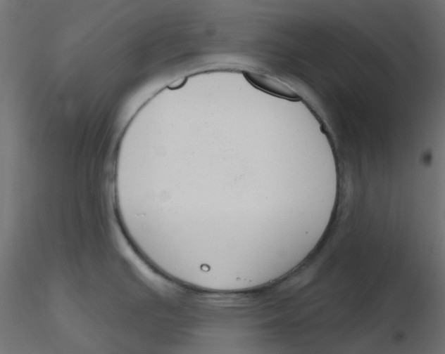 X0000116631391200912312150