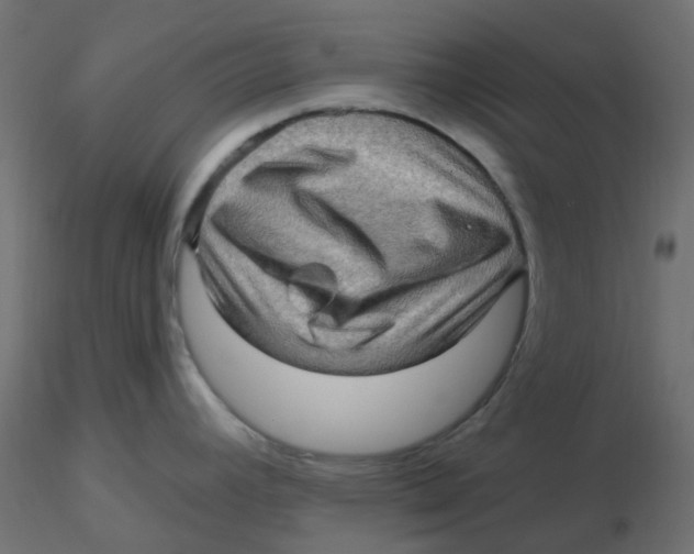 X0000116631392200912312150