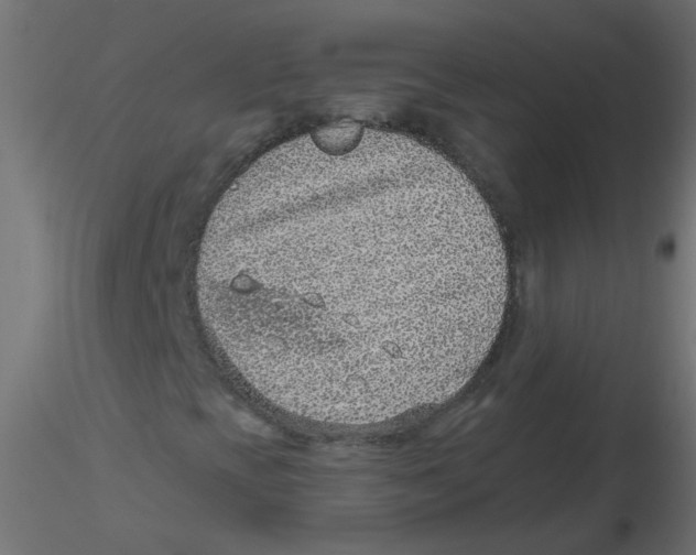 X0000116631393200912312150