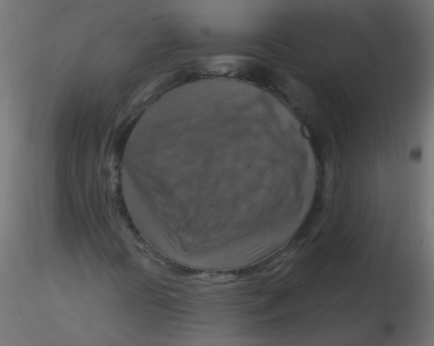 X0000116631394200912312150