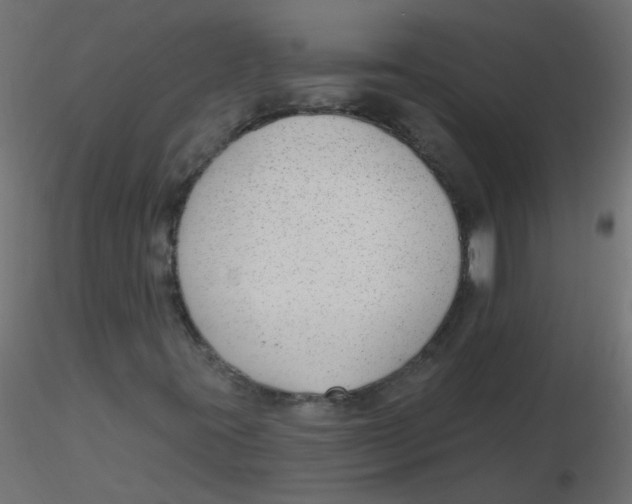 X0000116631395200912312150