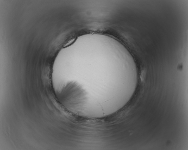 X0000116631396200912312150