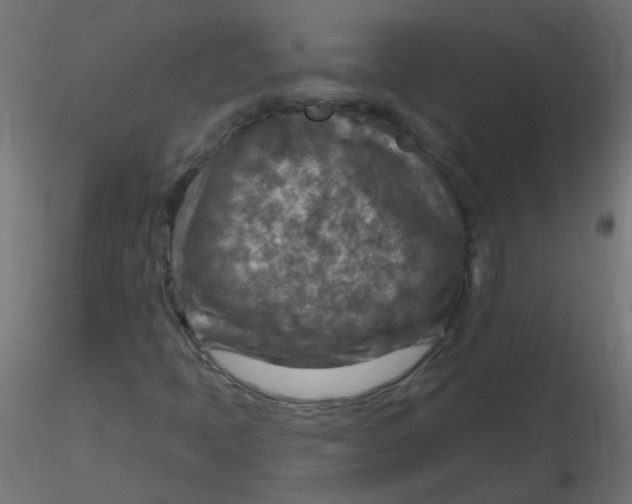 X0000116631397200912312150