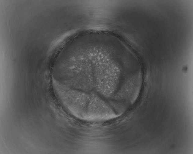 X0000116631398200912312150