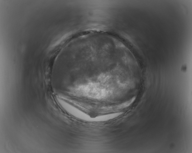 X0000116631399200912312150