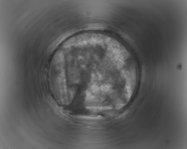 X0000116631401200912312150