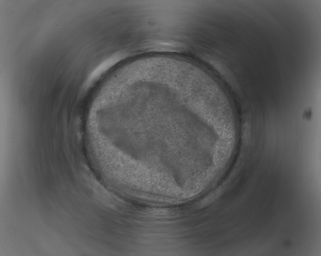 X0000116631402200912312150