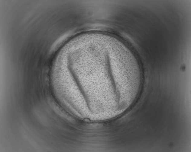 X0000116631403200912312150