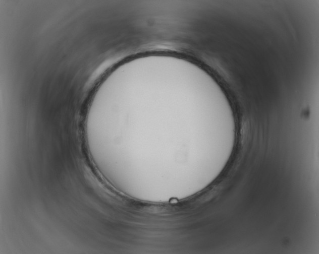 X0000116631404200912312150
