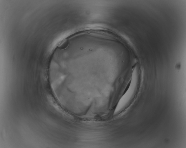 X0000116631405200912312150