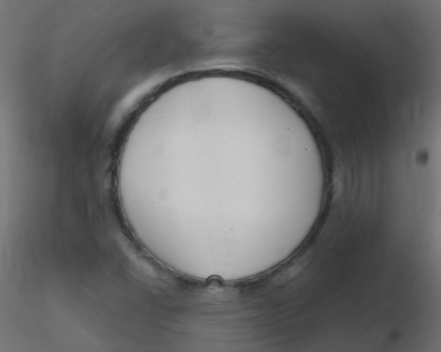 X0000116631406200912312150