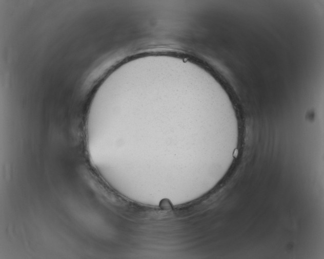 X0000116631407200912312150