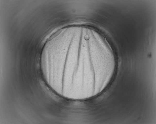 X0000116631409200912312150